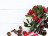 Mistletoe