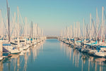 Bayside Marina