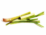 lemongrass earthy fresh citrus aroma soy candle